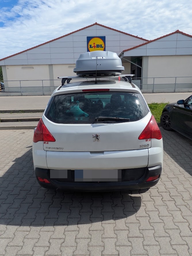 Peugeot 3008 z jasnym boxem Taurus Altro 460 ? widok od tyłu
